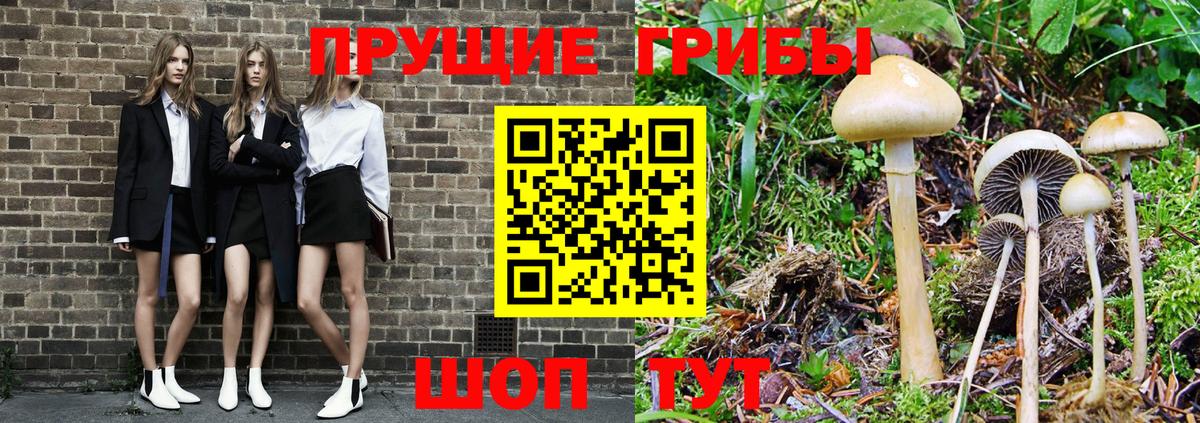Псилоцибиновые грибы ЛСД Светлоград